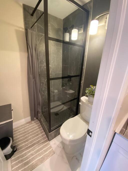 Ferienwohnung Studio Unit With Private Entrance, 2 Bed 1 Bath St. John's Exterior foto